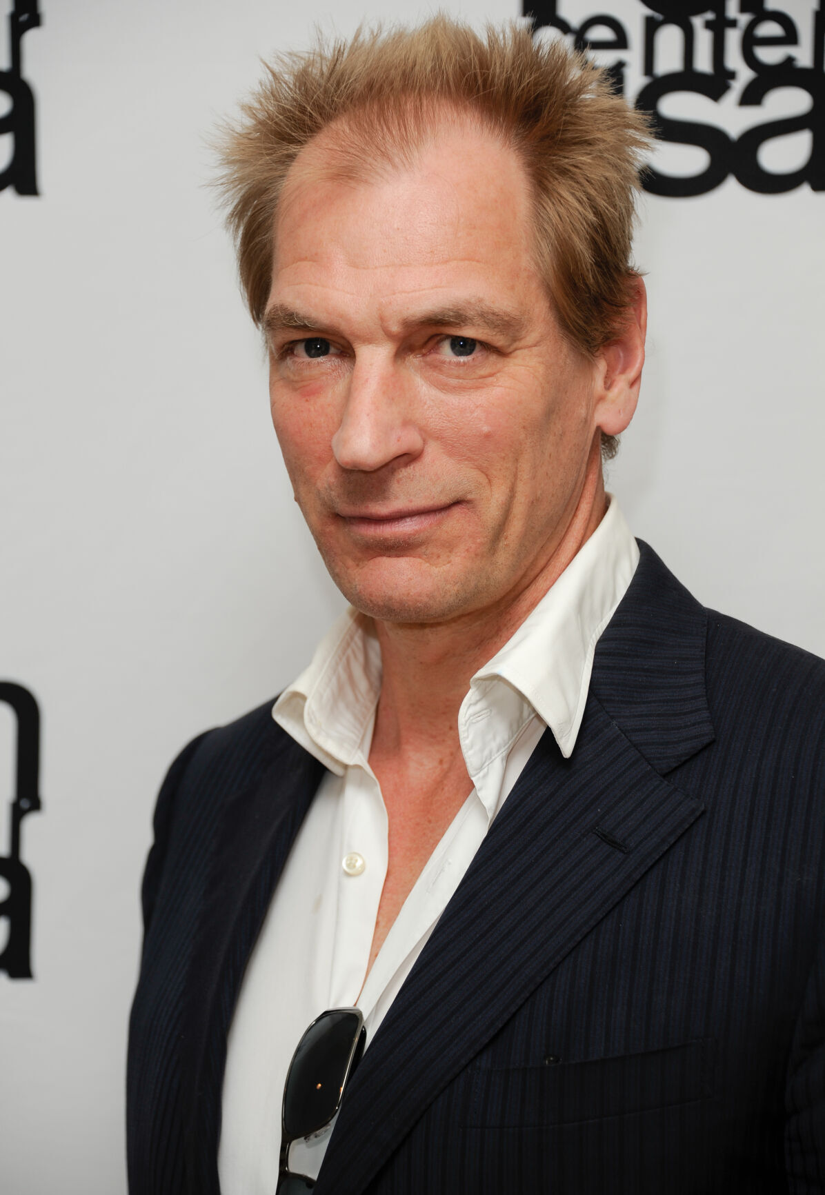 2013 : Julian Sands